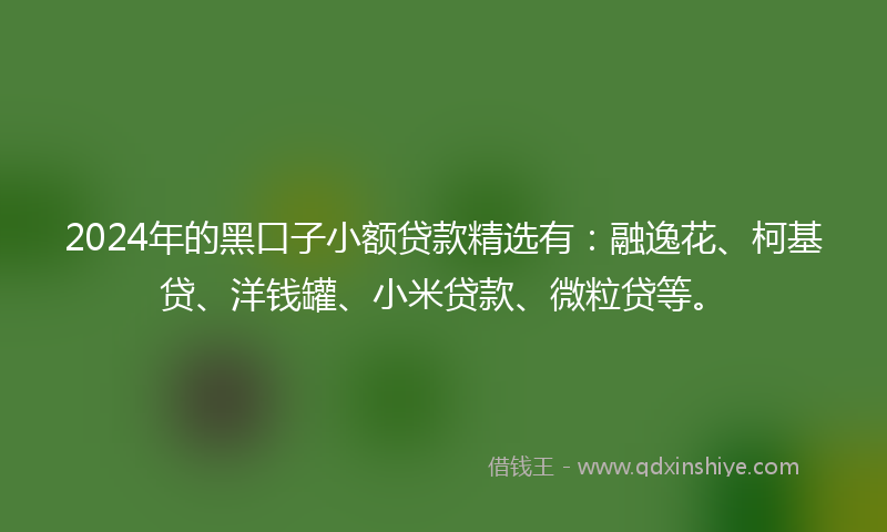2024年的黑口子小额贷款精选有：融逸花、柯基贷、洋钱罐、小米贷款、微粒贷等。