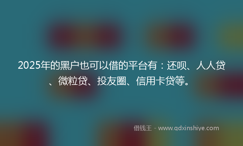 2025年的黑户也可以借的平台有：还呗、人人贷、微粒贷、投友圈、信用卡贷等。