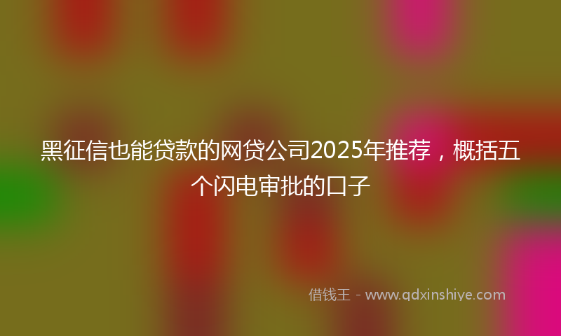 黑征信也能贷款的网贷公司2025年推荐，概括五个闪电审批的口子