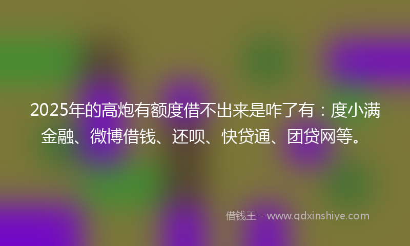 2025年的高炮有额度借不出来是咋了有：度小满金融、微博借钱、还呗、快贷通、团贷网等。