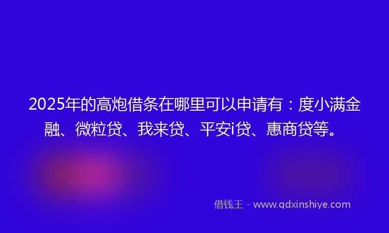 2025年的高炮借条在哪里可以申请有：度小满金融、微粒贷、我来贷、平安i贷、惠商贷等。