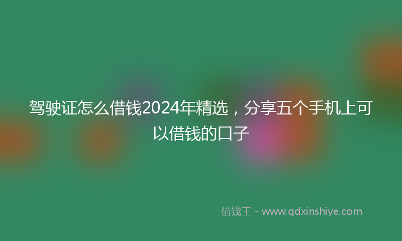 驾驶证怎么借钱2024年精选，分享五个手机上可以借钱的口子