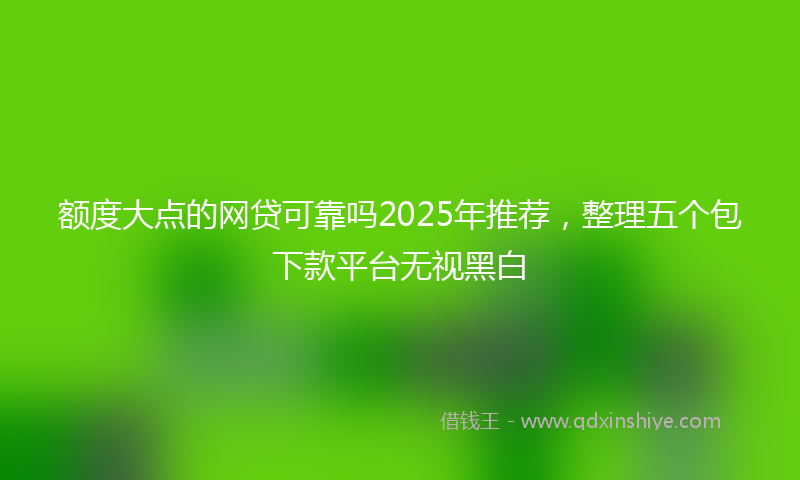 额度大点的网贷可靠吗2025年推荐，整理五个包下款平台无视黑白