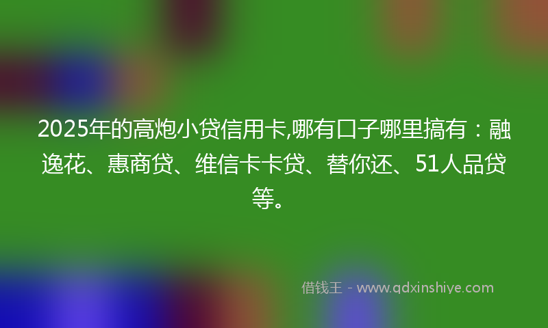 2025年的高炮小贷信用卡,哪有口子哪里搞有：融逸花、惠商贷、维信卡卡贷、替你还、51人品贷等。