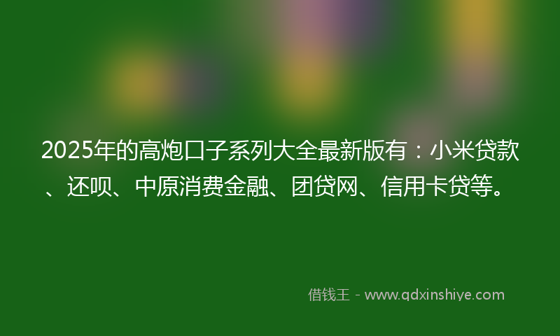 2025年的高炮口子系列大全最新版有：小米贷款、还呗、中原消费金融、团贷网、信用卡贷等。