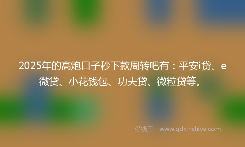 2025年的高炮口子秒下款周转吧有：平安i贷、e微贷、小花钱包、功夫贷、微粒贷等。