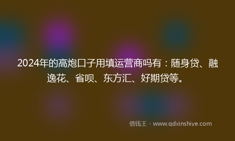 2024年的高炮口子用填运营商吗有：随身贷、融逸花、省呗、东方汇、好期贷等。
