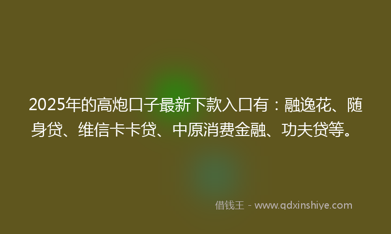 2025年的高炮口子最新下款入口有：融逸花、随身贷、维信卡卡贷、中原消费金融、功夫贷等。