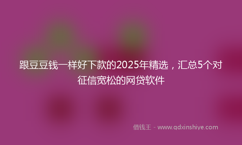 跟豆豆钱一样好下款的2025年精选，汇总5个对征信宽松的网贷软件