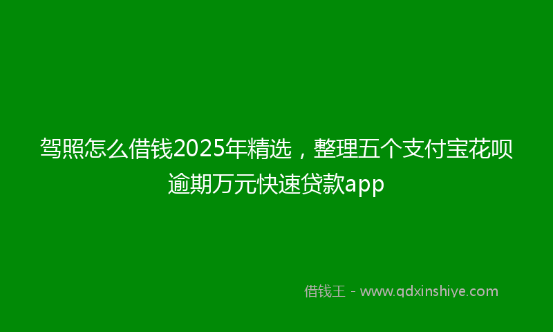 驾照怎么借钱2025年精选，整理五个支付宝花呗逾期万元快速贷款app