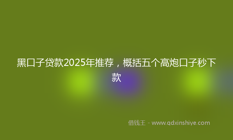 黑口子贷款2025年推荐，概括五个高炮口子秒下款