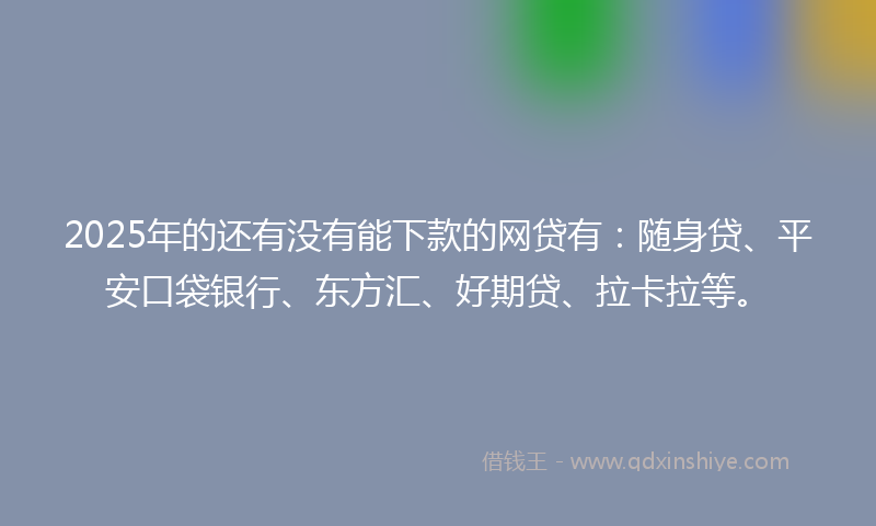 2025年的还有没有能下款的网贷有：随身贷、平安口袋银行、东方汇、好期贷、拉卡拉等。