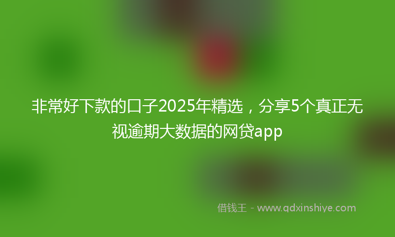 非常好下款的口子2025年精选，分享5个真正无视逾期大数据的网贷app