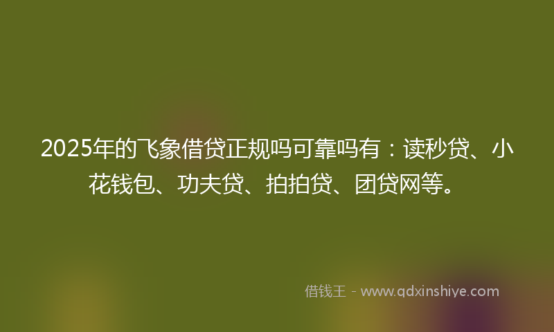 2025年的飞象借贷正规吗可靠吗有：读秒贷、小花钱包、功夫贷、拍拍贷、团贷网等。