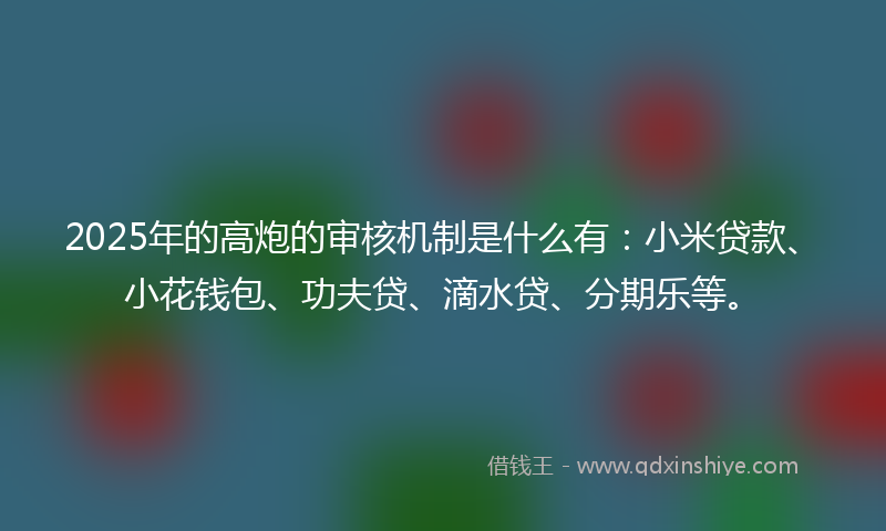 2025年的高炮的审核机制是什么有：小米贷款、小花钱包、功夫贷、滴水贷、分期乐等。