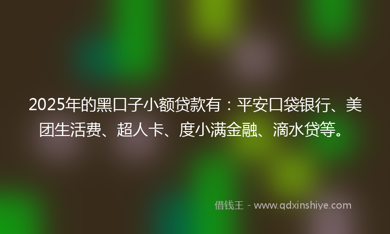2025年的黑口子小额贷款有：平安口袋银行、美团生活费、超人卡、度小满金融、滴水贷等。