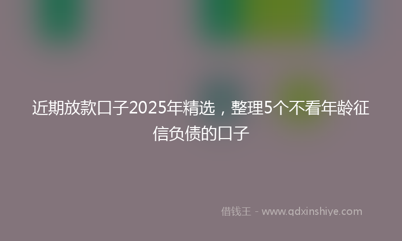 近期放款口子2025年精选，整理5个不看年龄征信负债的口子