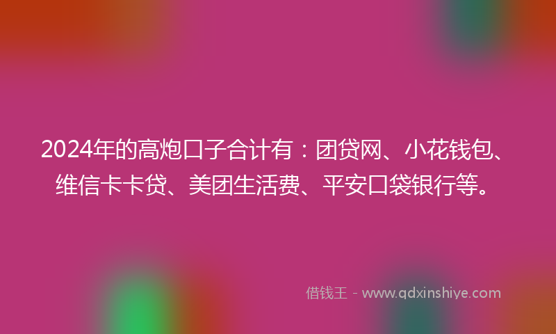 2024年的高炮口子合计有：团贷网、小花钱包、维信卡卡贷、美团生活费、平安口袋银行等。