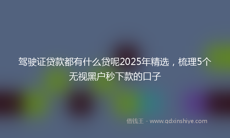 驾驶证贷款都有什么贷呢2025年精选，梳理5个无视黑户秒下款的口子