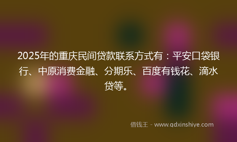 2025年的重庆民间贷款联系方式有：平安口袋银行、中原消费金融、分期乐、百度有钱花、滴水贷等。