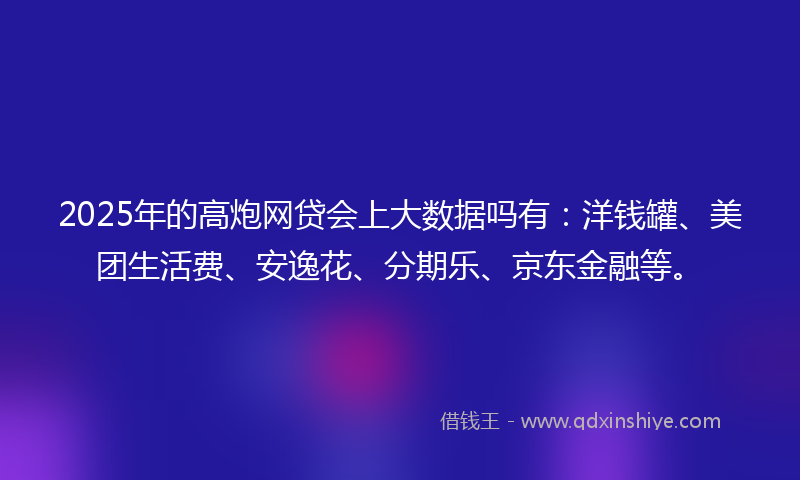 2025年的高炮网贷会上大数据吗有：洋钱罐、美团生活费、安逸花、分期乐、京东金融等。
