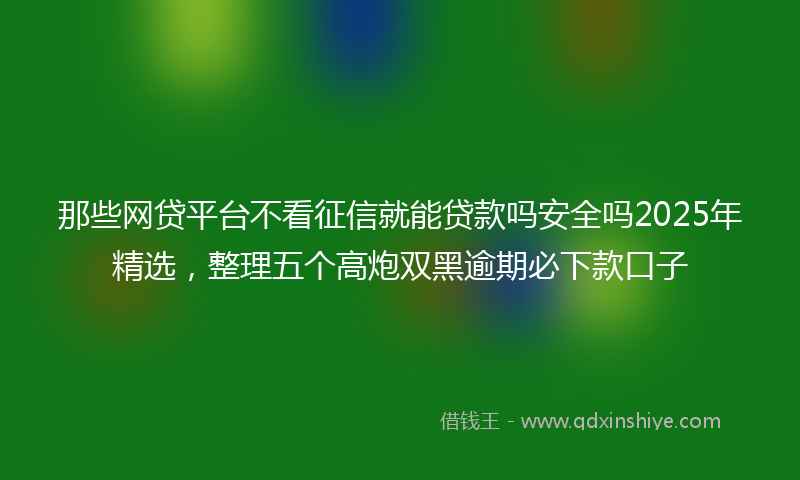那些网贷平台不看征信就能贷款吗安全吗2025年精选，整理五个高炮双黑逾期必下款口子