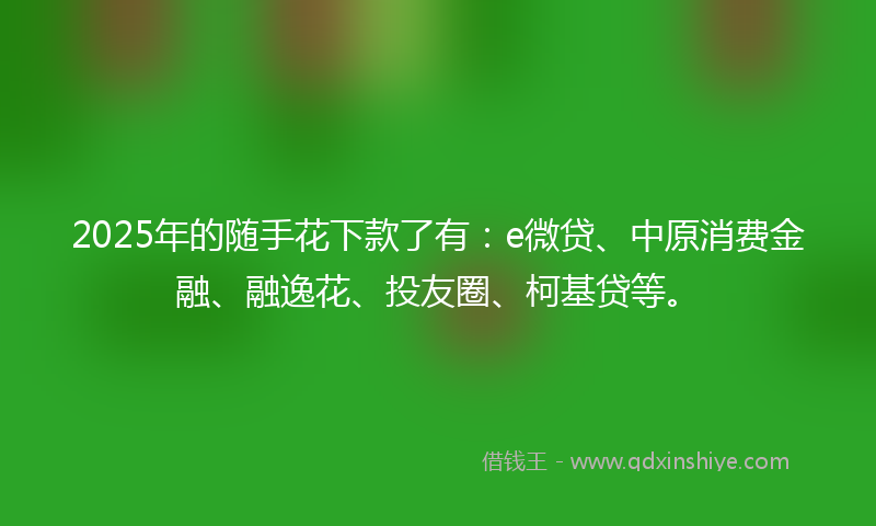 2025年的随手花下款了有：e微贷、中原消费金融、融逸花、投友圈、柯基贷等。