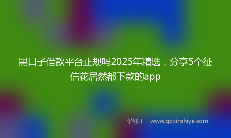 黑口子借款平台正规吗2025年精选，分享5个征信花居然都下款的app