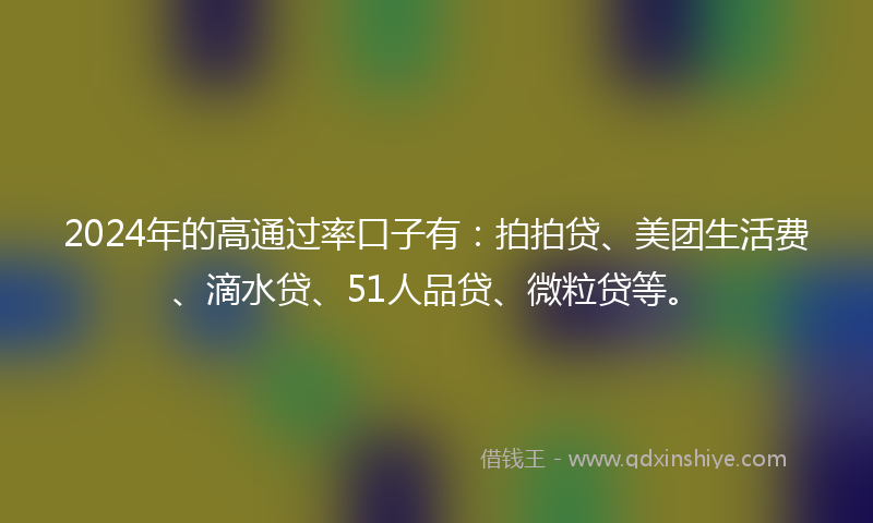 2024年的高通过率口子有：拍拍贷、美团生活费、滴水贷、51人品贷、微粒贷等。