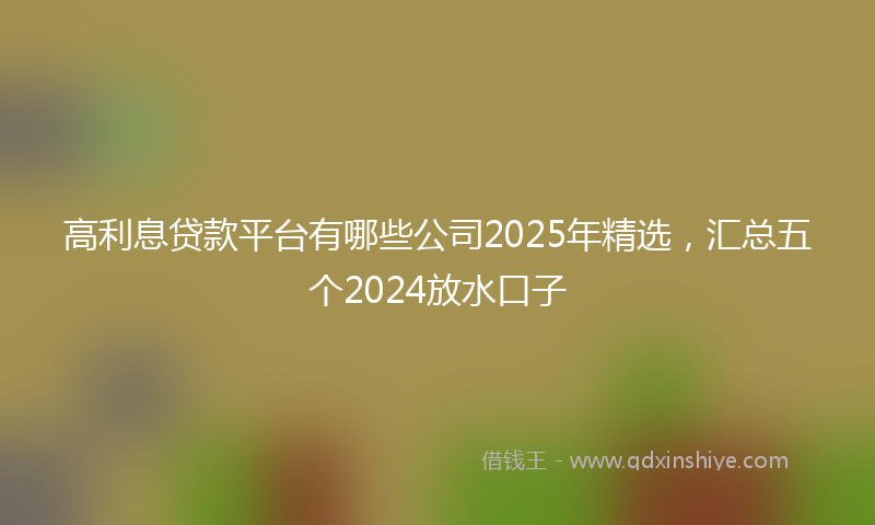 高利息贷款平台有哪些公司2025年精选，汇总五个2024放水口子