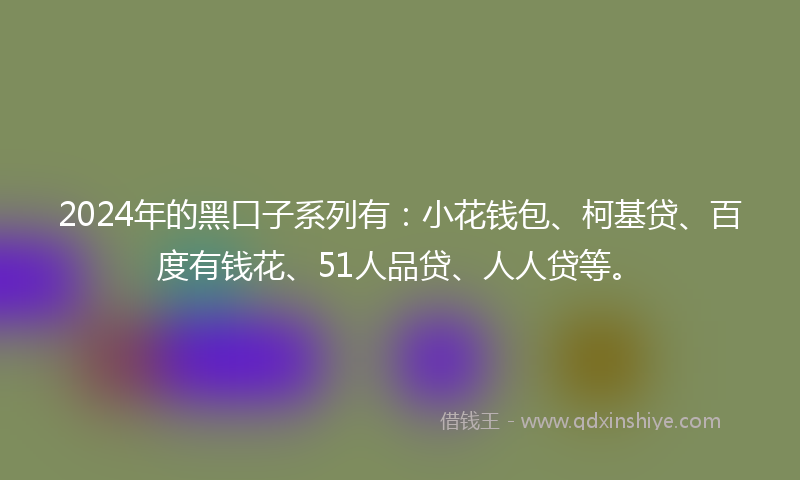 2024年的黑口子系列有：小花钱包、柯基贷、百度有钱花、51人品贷、人人贷等。