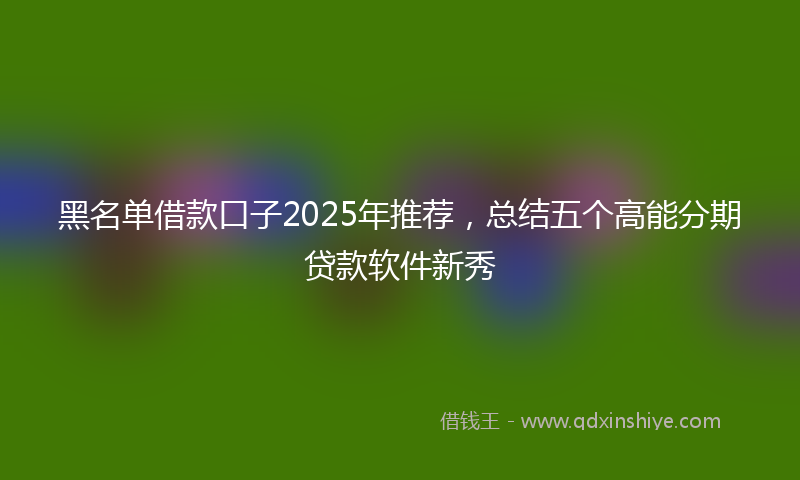 黑名单借款口子2025年推荐，总结五个高能分期贷款软件新秀