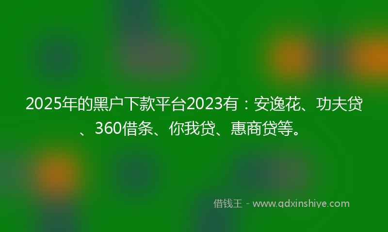 2025年的黑户下款平台2023有：安逸花、功夫贷、360借条、你我贷、惠商贷等。