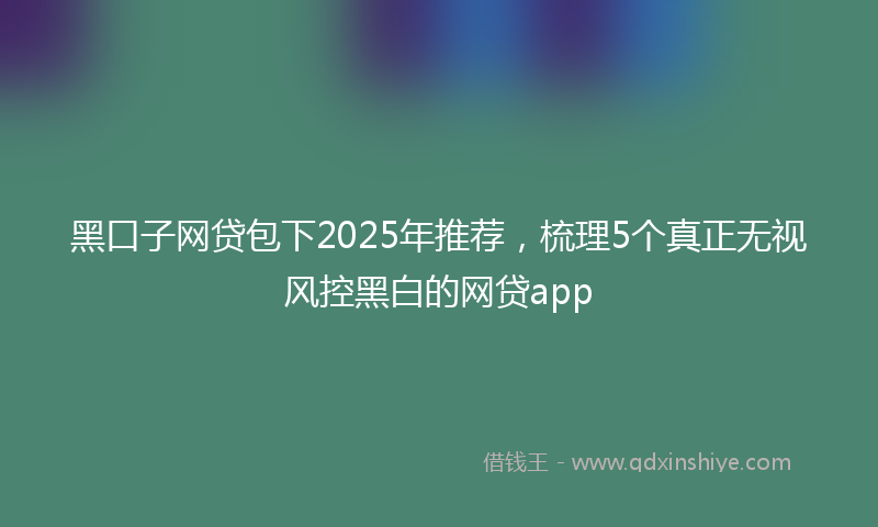 黑口子网贷包下2025年推荐，梳理5个真正无视风控黑白的网贷app