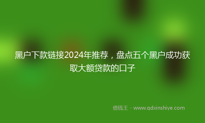 黑户下款链接2024年推荐，盘点五个黑户成功获取大额贷款的口子