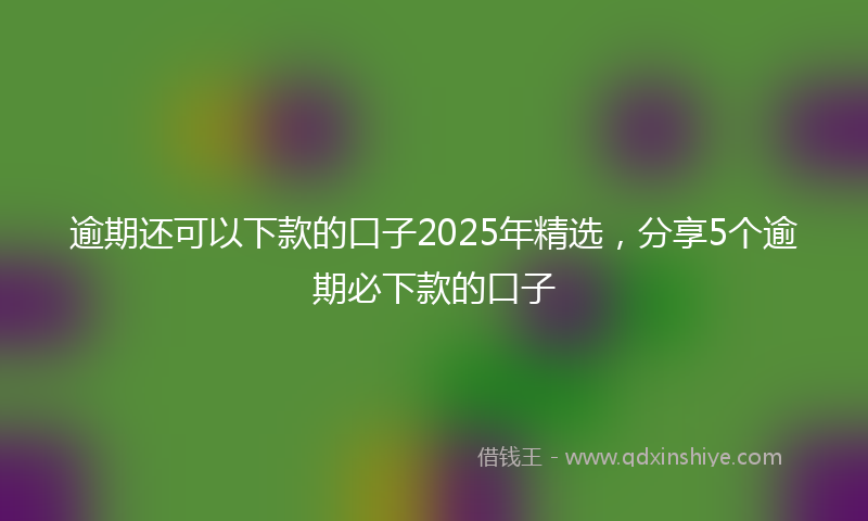逾期还可以下款的口子2025年精选，分享5个逾期必下款的口子