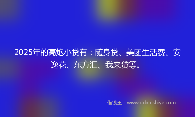 2025年的高炮小贷有：随身贷、美团生活费、安逸花、东方汇、我来贷等。