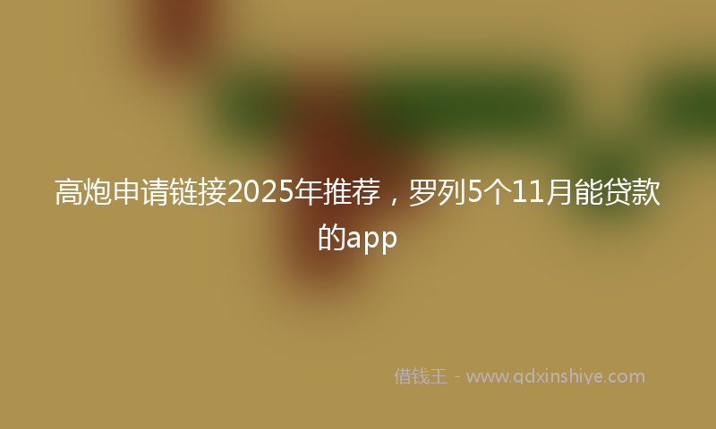 高炮申请链接2025年推荐，罗列5个11月能贷款的app