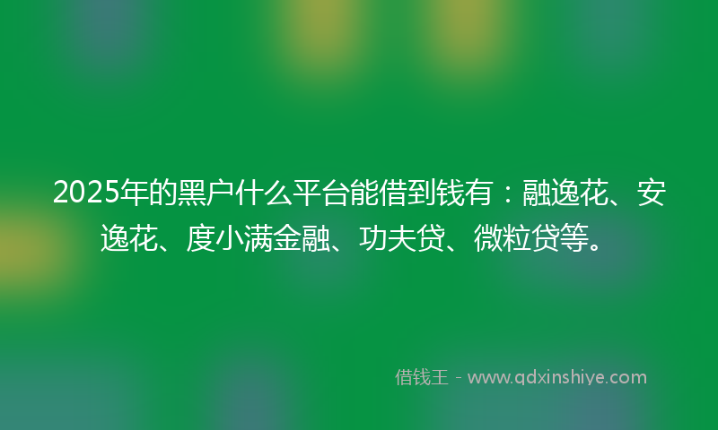 2025年的黑户什么平台能借到钱有：融逸花、安逸花、度小满金融、功夫贷、微粒贷等。