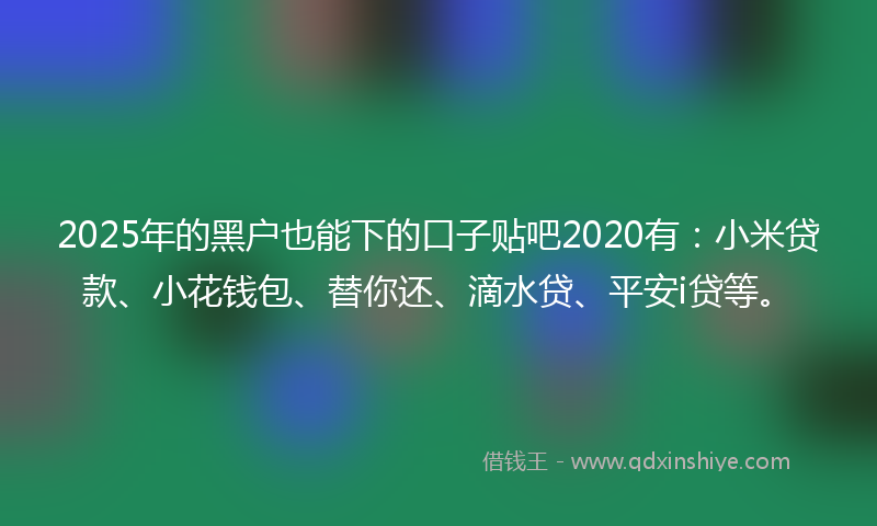 2025年的黑户也能下的口子贴吧2020有：小米贷款、小花钱包、替你还、滴水贷、平安i贷等。