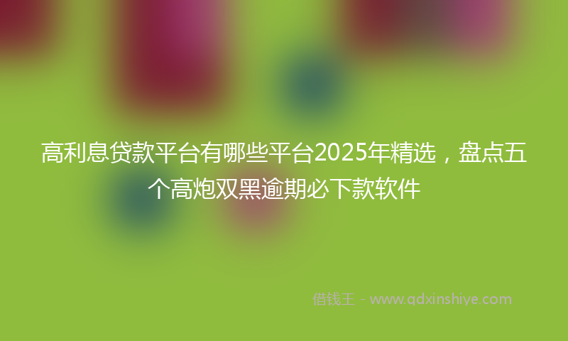高利息贷款平台有哪些平台2025年精选，盘点五个高炮双黑逾期必下款软件