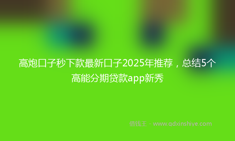 高炮口子秒下款最新口子2025年推荐，总结5个高能分期贷款app新秀