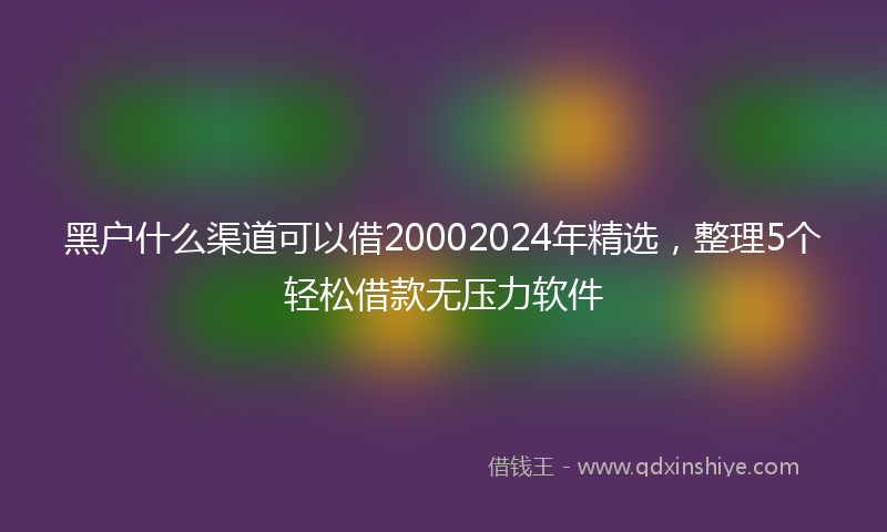 黑户什么渠道可以借20002024年精选，整理5个轻松借款无压力软件