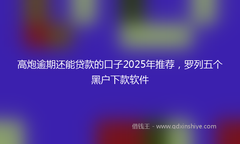 高炮逾期还能贷款的口子2025年推荐，罗列五个黑户下款软件