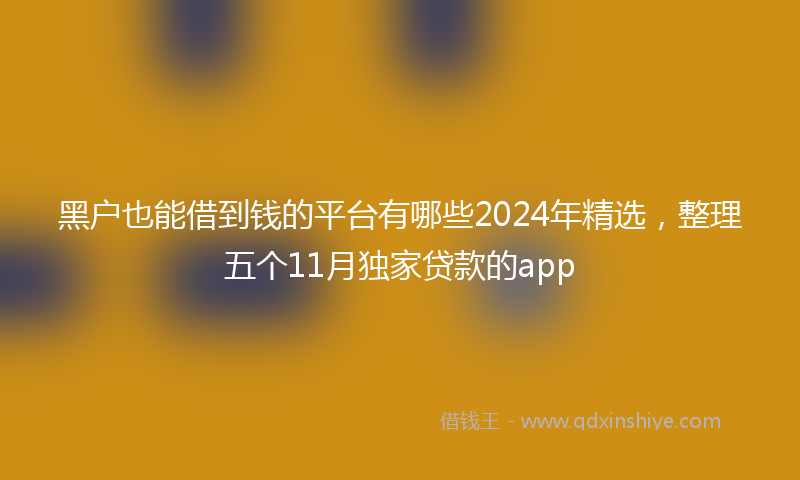 黑户也能借到钱的平台有哪些2024年精选，整理五个11月独家贷款的app