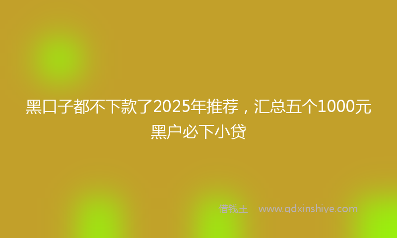 黑口子都不下款了2025年推荐，汇总五个1000元黑户必下小贷
