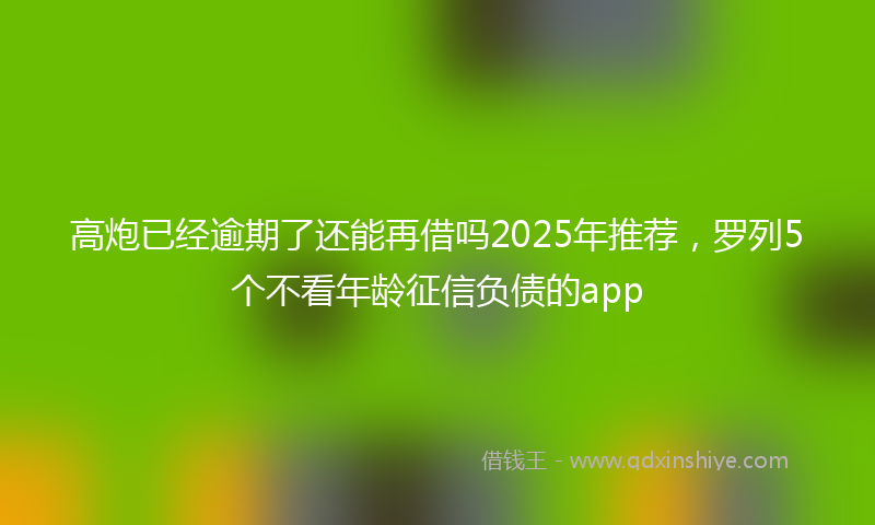 高炮已经逾期了还能再借吗2025年推荐，罗列5个不看年龄征信负债的app