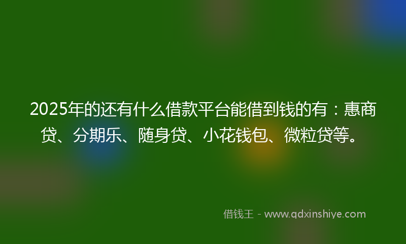 2025年的还有什么借款平台能借到钱的有：惠商贷、分期乐、随身贷、小花钱包、微粒贷等。