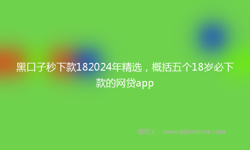 黑口子秒下款182024年精选，概括五个18岁必下款的网贷app