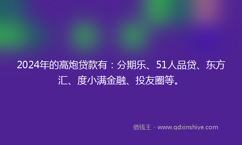 2024年的高炮贷款有：分期乐、51人品贷、东方汇、度小满金融、投友圈等。